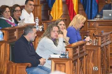 Pleno ordinario de febrero del Ayuntammiento de Telde/FJS Fotografía.